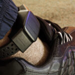 Fugitive Recovery (3) ~ Domestic Arrest